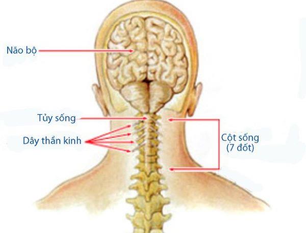 Konvenční medicína: Centrální míšní syndrom