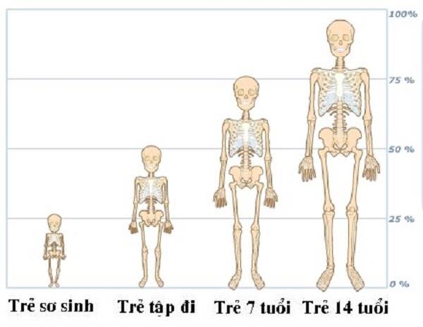 Děti s anorexií a výživa, které rodiče potřebují vědět