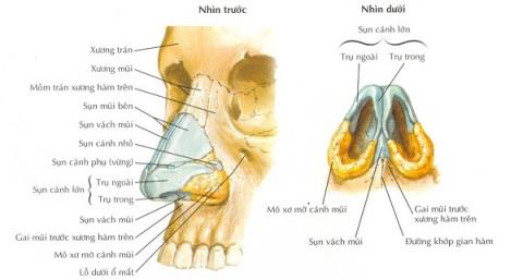 Zlomenina nosu: Co potřebujete vědět