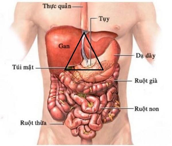 Kde se nachází epigastrium?  Proč je to důležité?