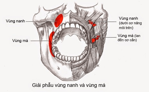 Lícní absces: Příčiny, příznaky a léčba.